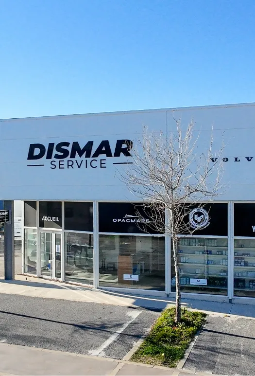DISMAR 39 1 1